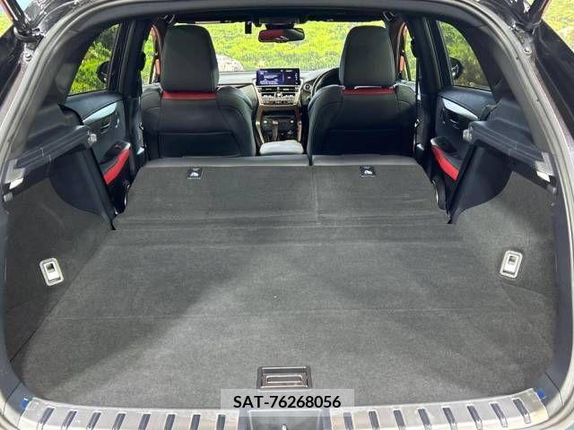 Lexus NX 2020-05 241553-10