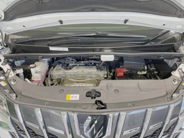 Toyota ALPHARD 2020-11 7548-18