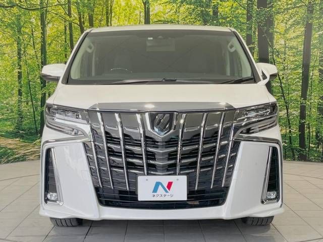 Toyota ALPHARD 2020-11 7548-14