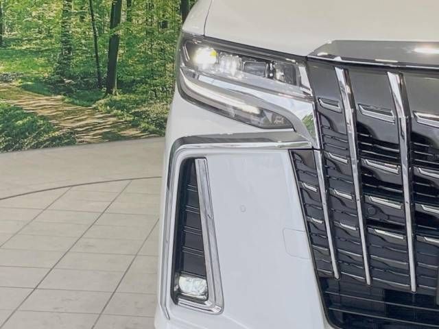 Toyota ALPHARD 2020-11 7548-12