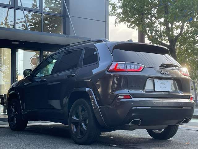Jeep CHEROKEE 2021-03 194746-15