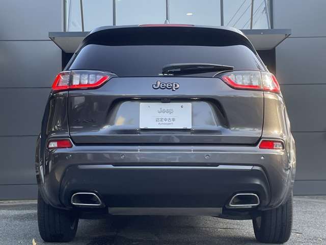 Jeep CHEROKEE 2021-03 194746-8