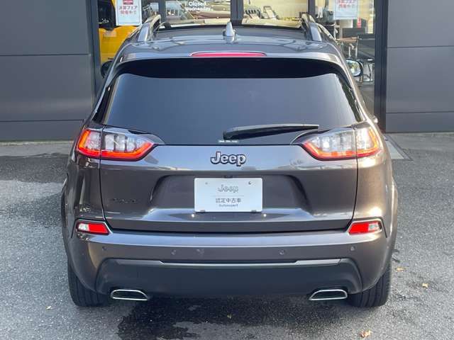 Jeep CHEROKEE 2021-03 194746-7