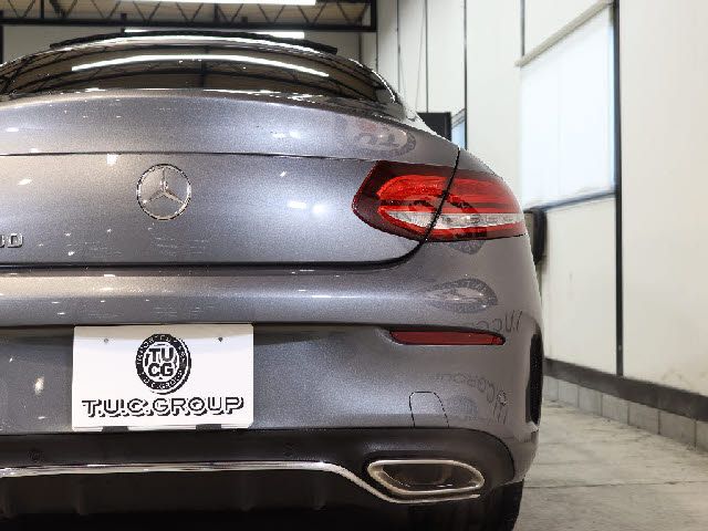 Mercedes Benz C-CLASS 2019-03 193445-14
