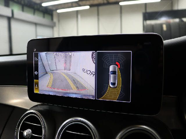 Mercedes Benz C-CLASS 2019-03 193445-17