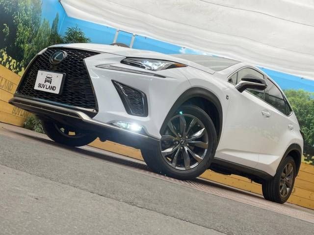 Lexus NX 2018-05 27083-14