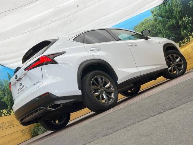 Lexus NX 2018-05 27083-16
