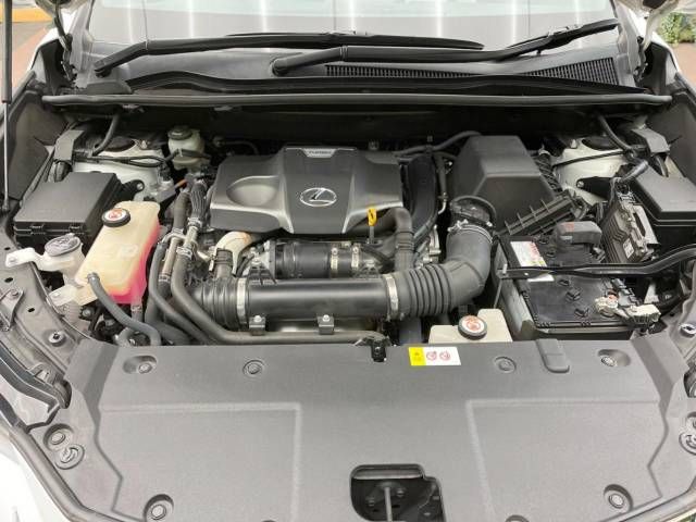 Lexus NX 2018-05 27083-19