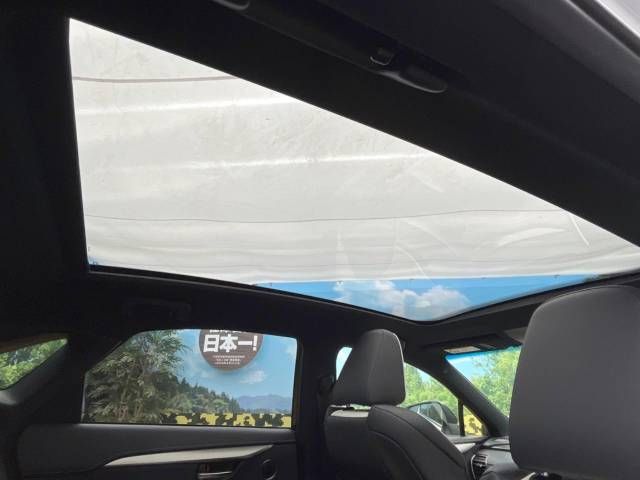 Lexus NX 2018-05 27083-2