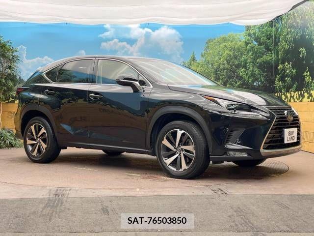 Lexus NX 2017-10 211449-10