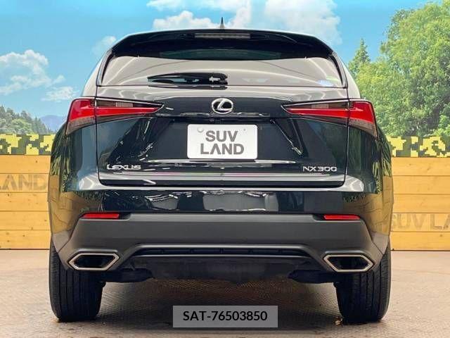 Lexus NX 2017-10 211449-9