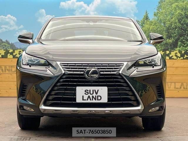 Lexus NX 2017-10 211449-8