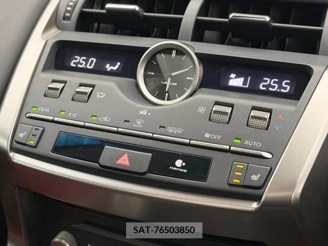 Lexus NX 2017-10 211449-6