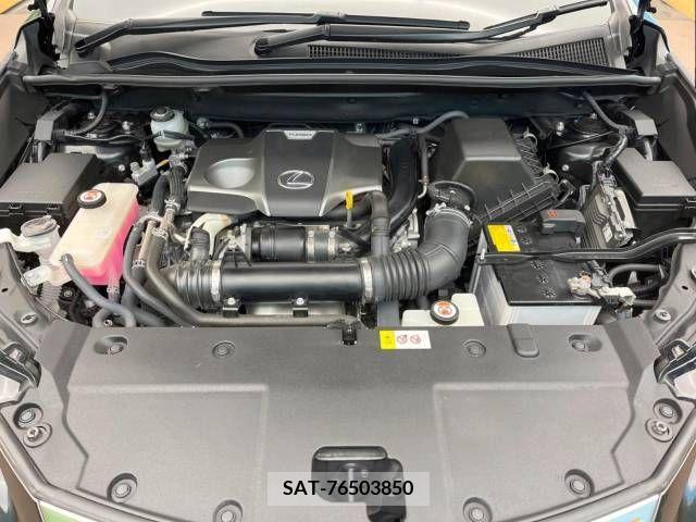 Lexus NX 2017-10 211449-18