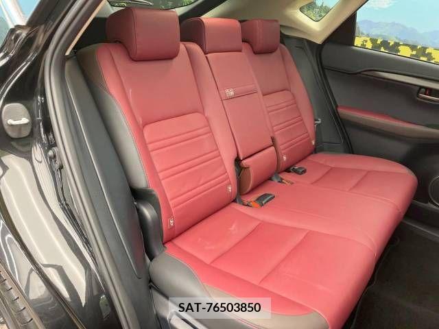 Lexus NX 2017-10 211449-13