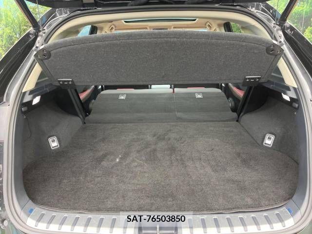 Lexus NX 2017-10 211449-14