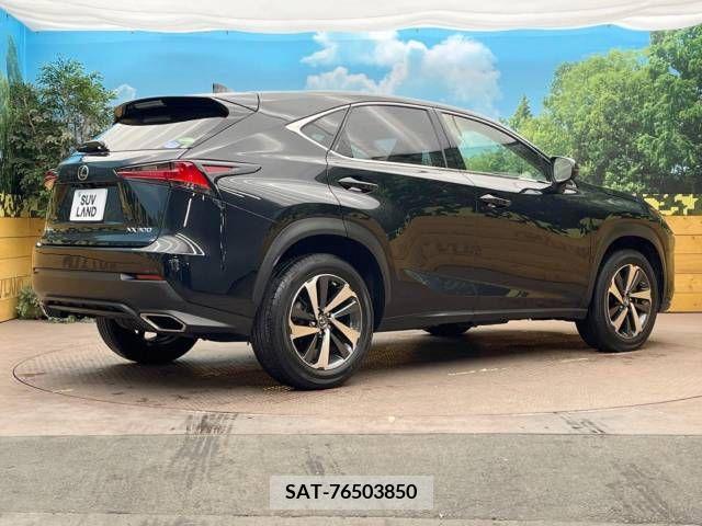 Lexus NX 2017-10 211449-11