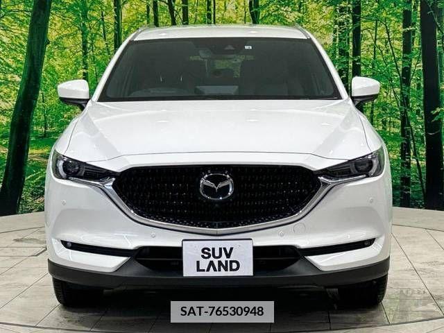 Mazda CX-8 2022-04 341807-15