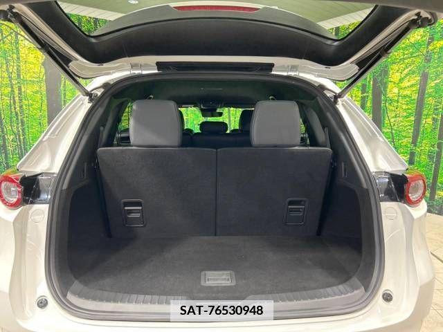 Mazda CX-8 2022-04 341807-11