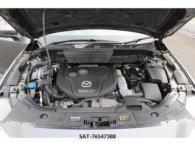 Mazda CX-8 2018-06 266238-18