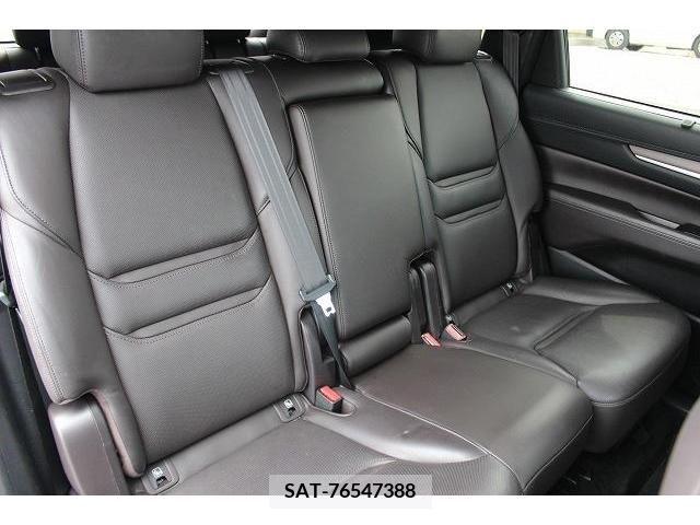 Mazda CX-8 2018-06 266238-13