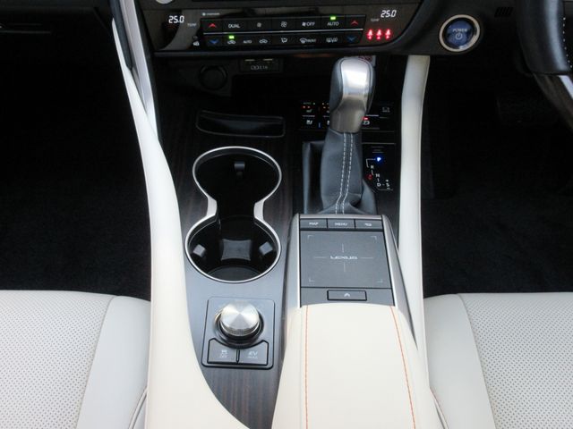 Lexus RX 2022-02 625-29