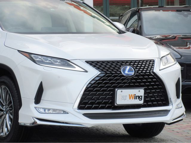 Lexus RX 2022-02 625-4
