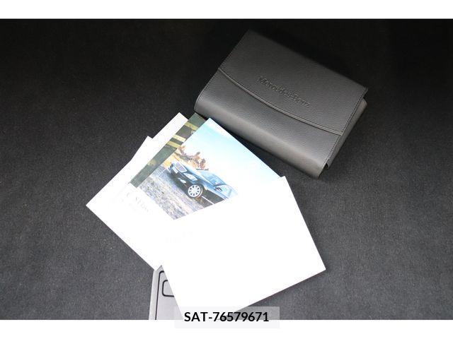 Mercedes Benz S-CLASS 2009-03 246631-19
