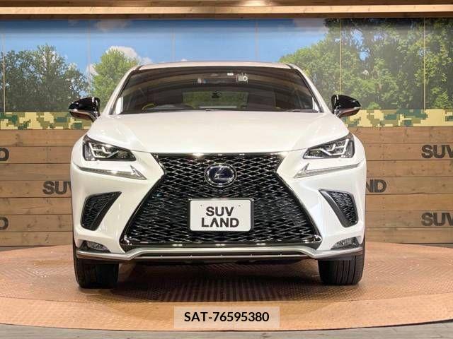 Lexus NX 2019-11 300561-14