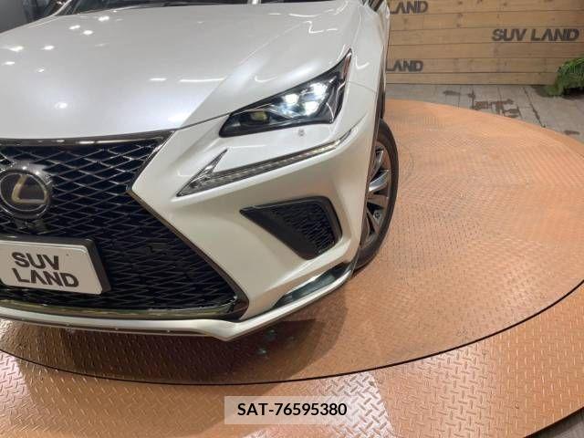 Lexus NX 2019-11 300561-12