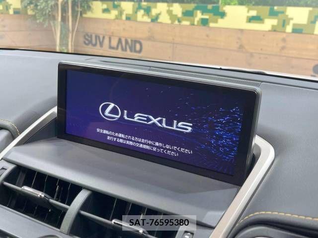 Lexus NX 2019-11 300561-3