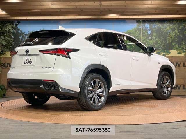 Lexus NX 2019-11 300561-17