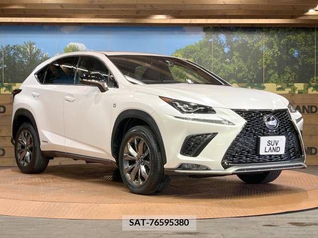 Lexus NX 2019-11 300561-16