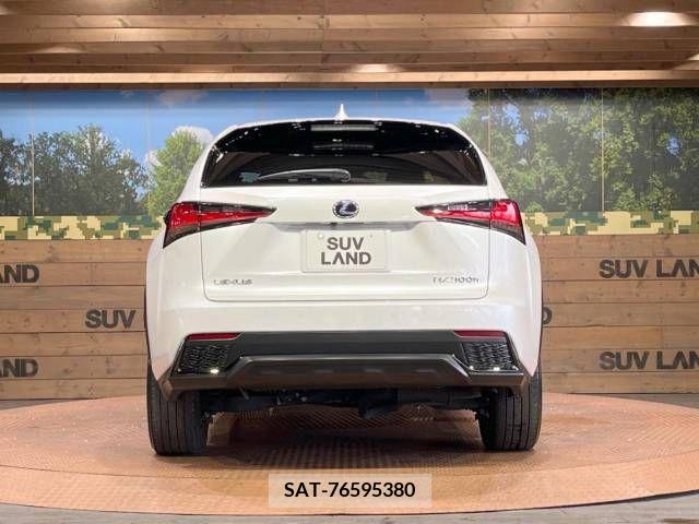 Lexus NX 2019-11 300561-15