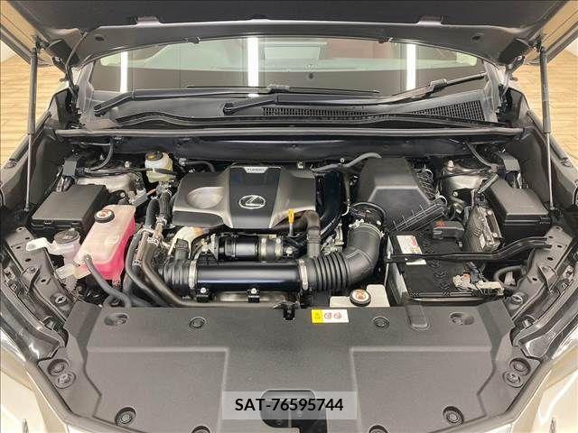 Lexus NX 2018-01 354197-17