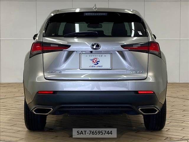 Lexus NX 2018-01 354197-14