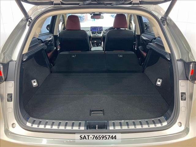 Lexus NX 2018-01 354197-13