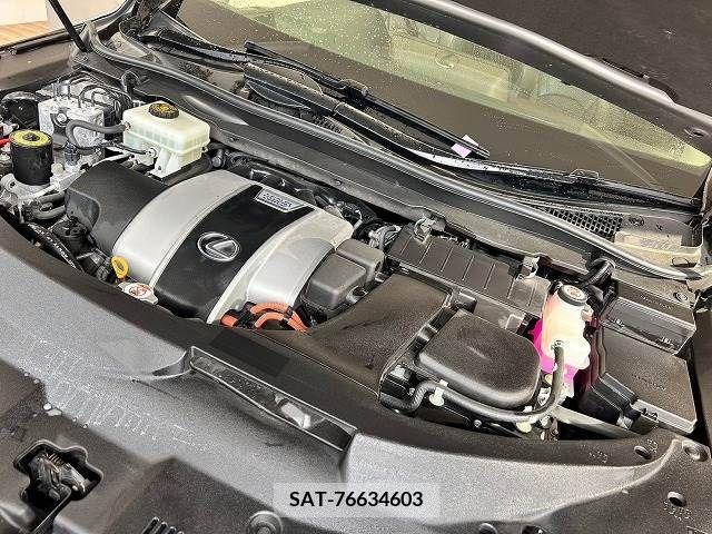 Lexus RX 2016-12 304835-19