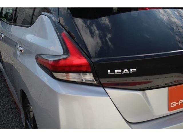 Nissan LEAF 2019-03 14400-11