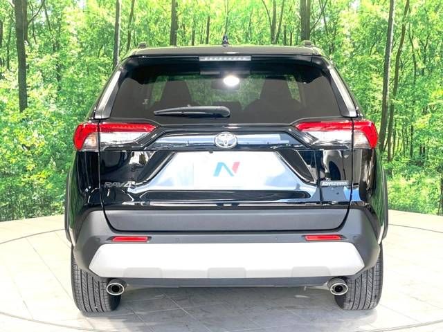 Toyota RAV4 2020-07 28928-15