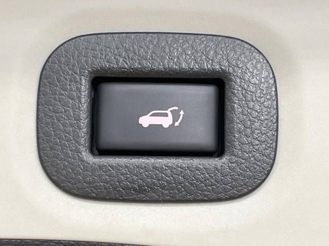 Nissan X-TRAIL 2019-06 23499-6