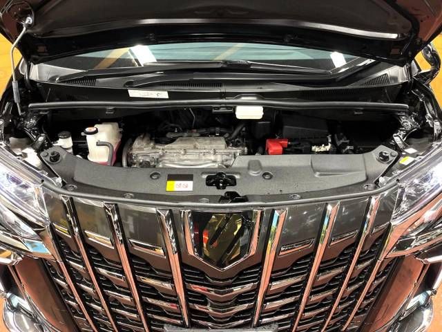 Toyota ALPHARD 2021-09 187847-18