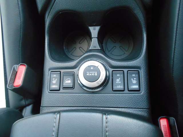 Nissan X-TRAIL 2019-03 2113-9