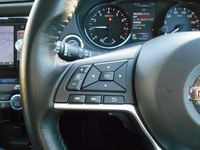 Nissan X-TRAIL 2019-03 2113-15