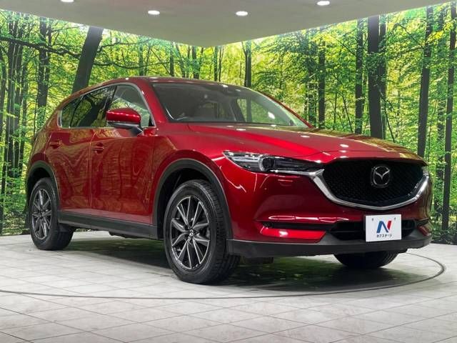 Mazda CX-5 2018-06 192615-16