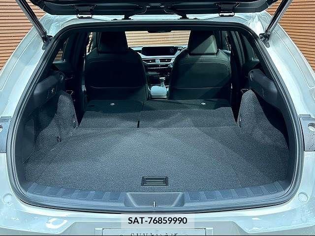 Lexus UX 2021-10 216912-19