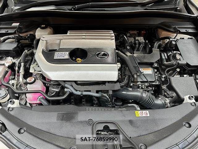 Lexus UX 2021-10 216912-13