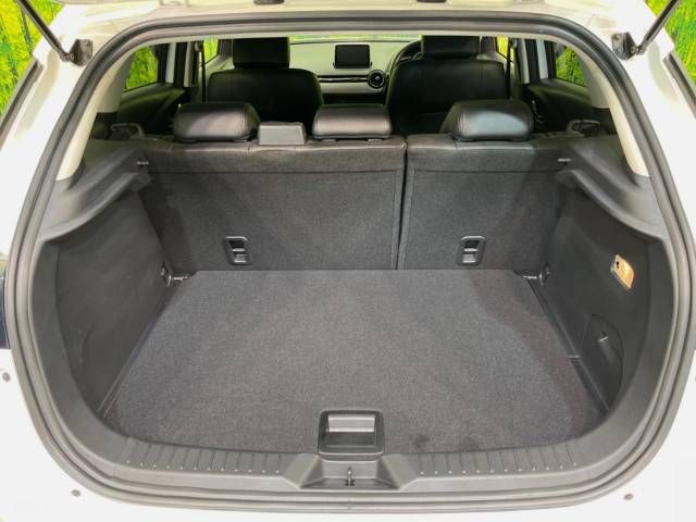 Mazda CX-3 2016-05 24703-10