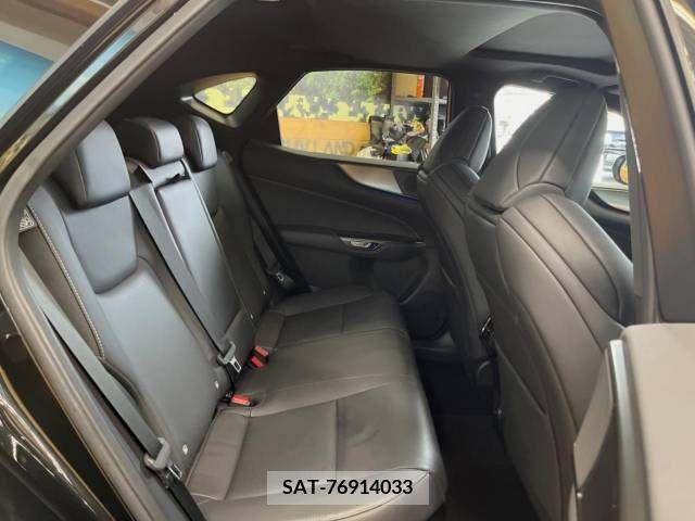 Lexus NX 2022-11 353971-10