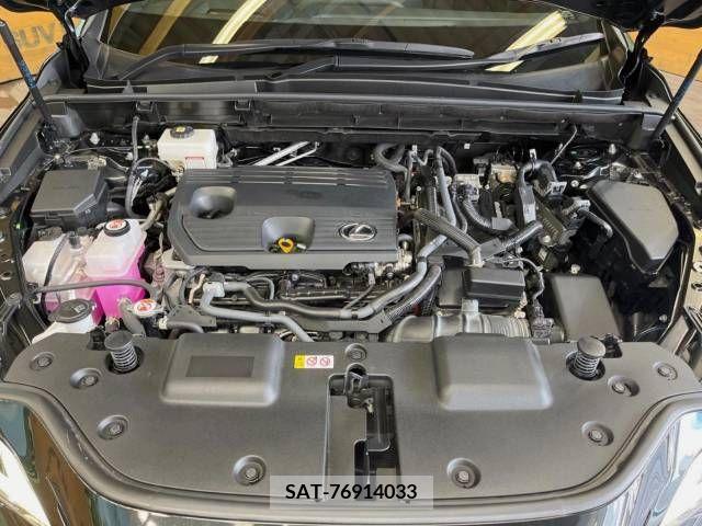 Lexus NX 2022-11 353971-18